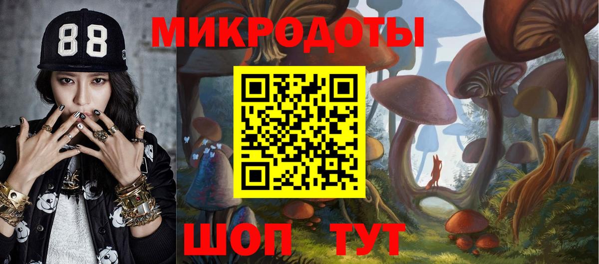 Галлюциногенные грибы Psilocybine cubensis Щёлково
