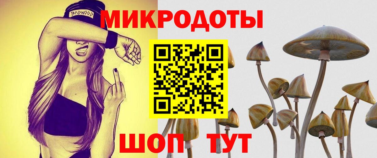 Псилоцибиновые грибы прущие грибы  Вход с VPN  Галлюциногенные грибы ЛСД  Щёлково 
